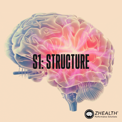 9S 1: Structure
